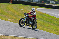 cadwell-park;cadwell-park-photographs;cadwell-trackday-photographs;enduro-digital-images;event-digital-images;eventdigitalimages;peter-wileman-photography;racing-digital-images;trackday-digital-images;trackday-photos
